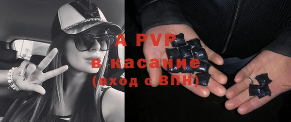 PSILOCYBIN Сатка