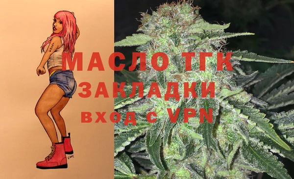 соль ск Алзамай